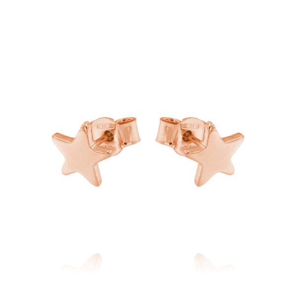 Orecchini stella media lucida - placcato rosé